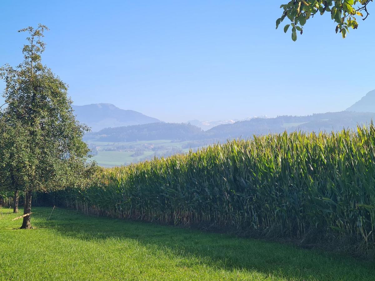 Familiy & Kids Suite Im Herzen Der Schweiz Dietwil Bagian luar foto